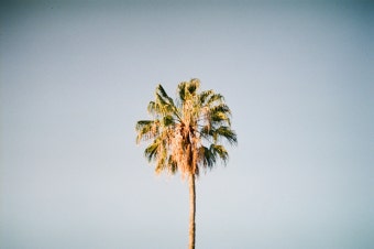 무료 플랜 배경