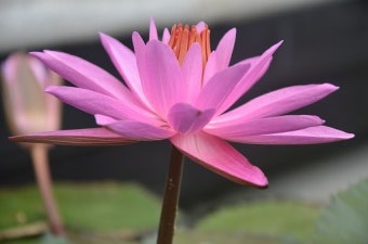 프리미엄 플랜 배경